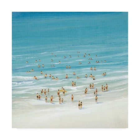 Tim Otoole 'Ocean Swim I' Canvas Art,14x14